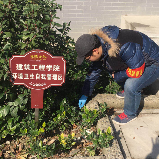 QQ图片20181228142539_副本.jpg