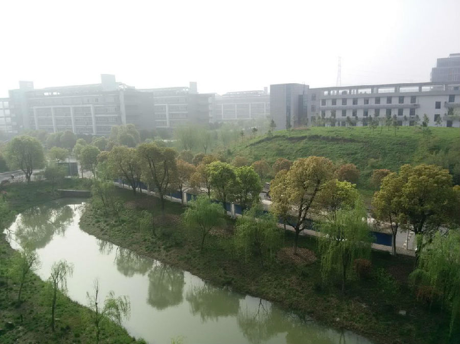 file0016.jpg