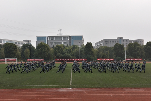 _DSC0199.jpg